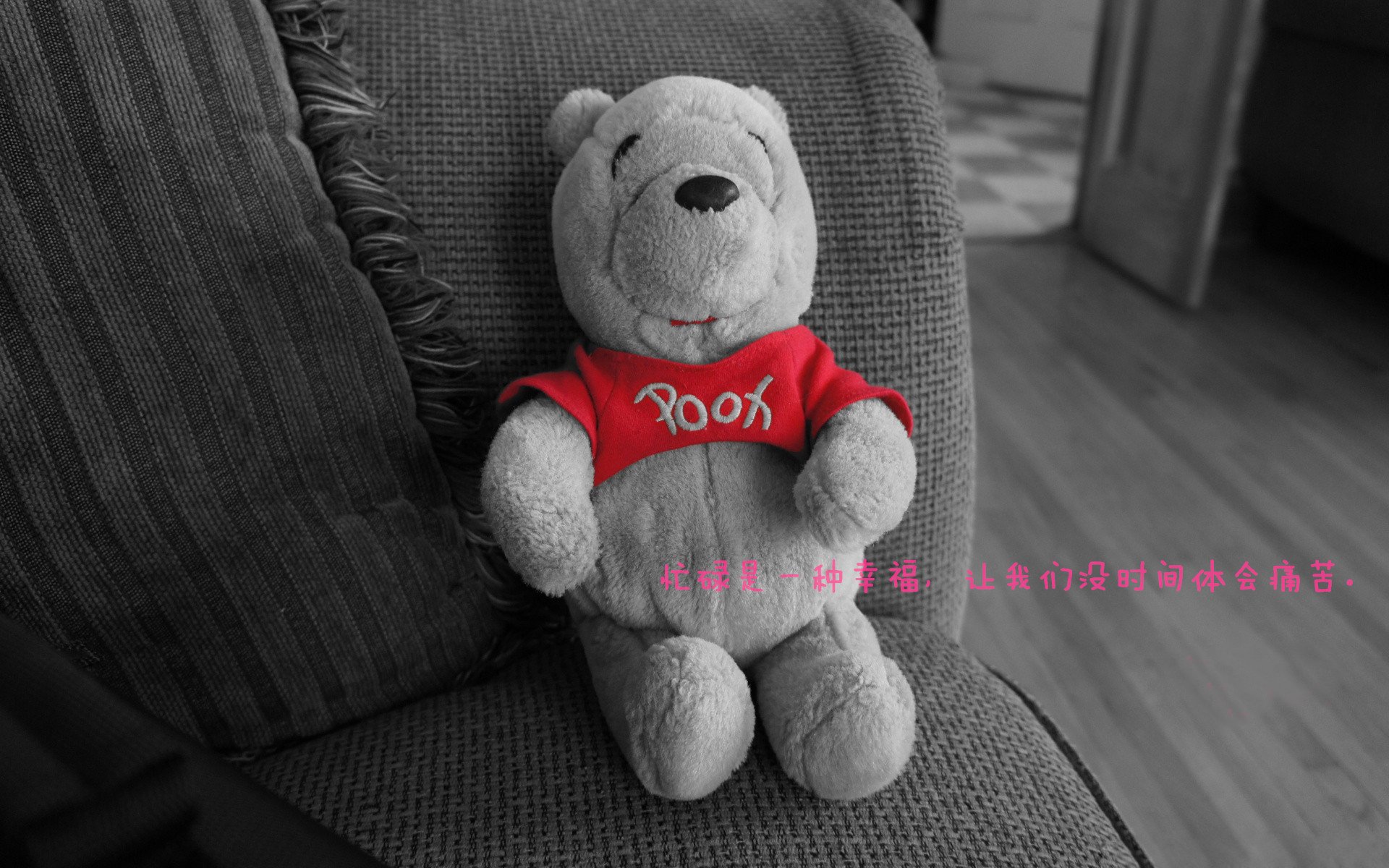 足球青训教练海外研修归来分享先进理念，足球青训训练营