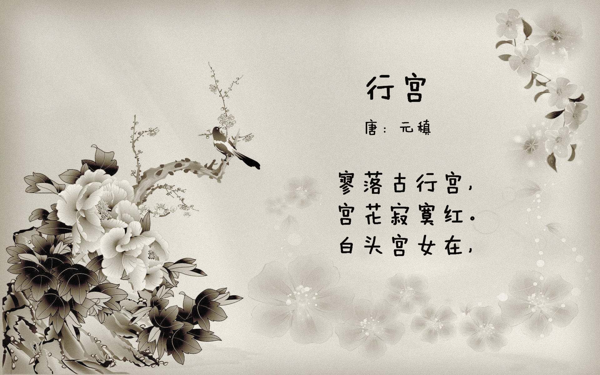 中国男篮战胜劲旅展现强硬作风提振全国士气，中国男篮 迎战